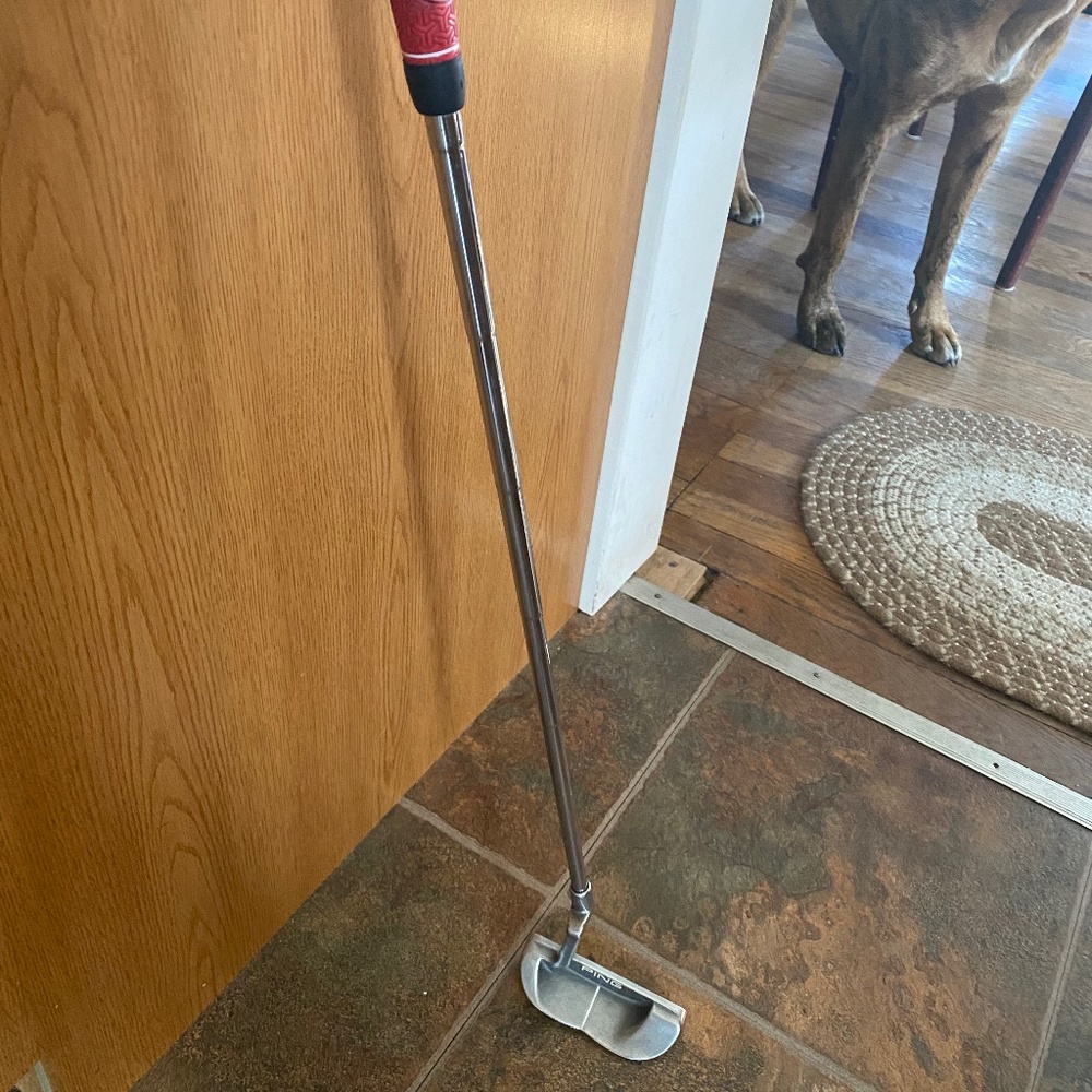 Womens golf putter Ping